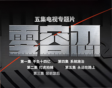 电视专题片《零容忍》